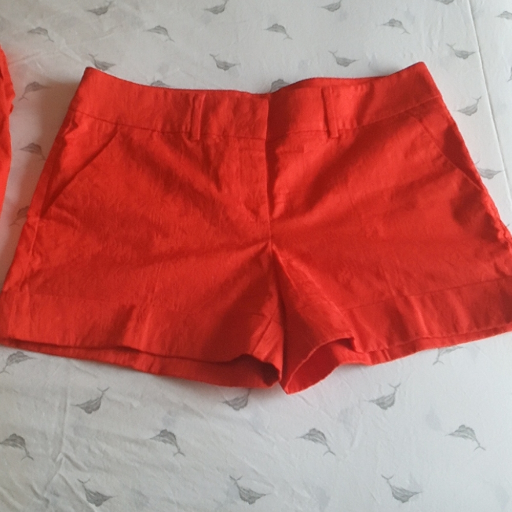 New York and company shorts